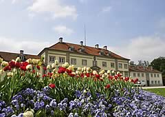 Schneevoigt, das Hotel am Steinhuder Meer. Hier finden Naturfreunde alles was das Herz begehrt.